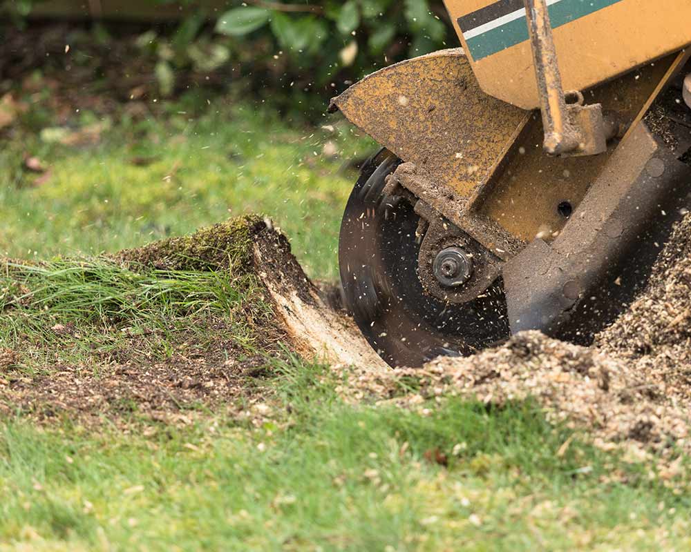 stump removal mount pleasant mi