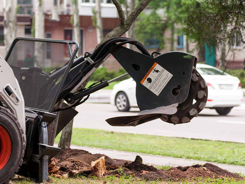 stump removal