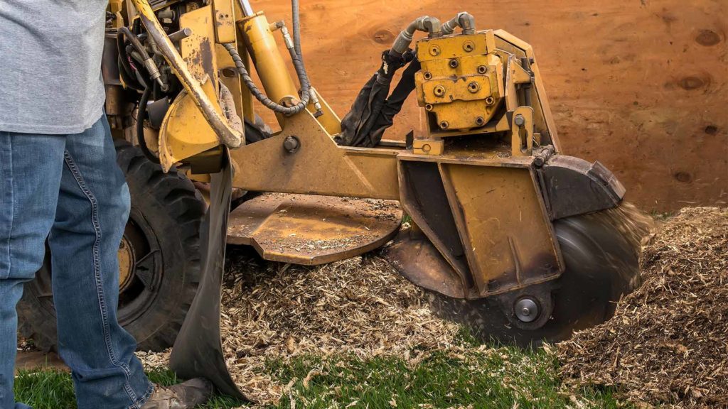 grinding stump with heavy machine charlevoix mi